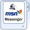 Capture/Record Video from MSN Messager webcam video